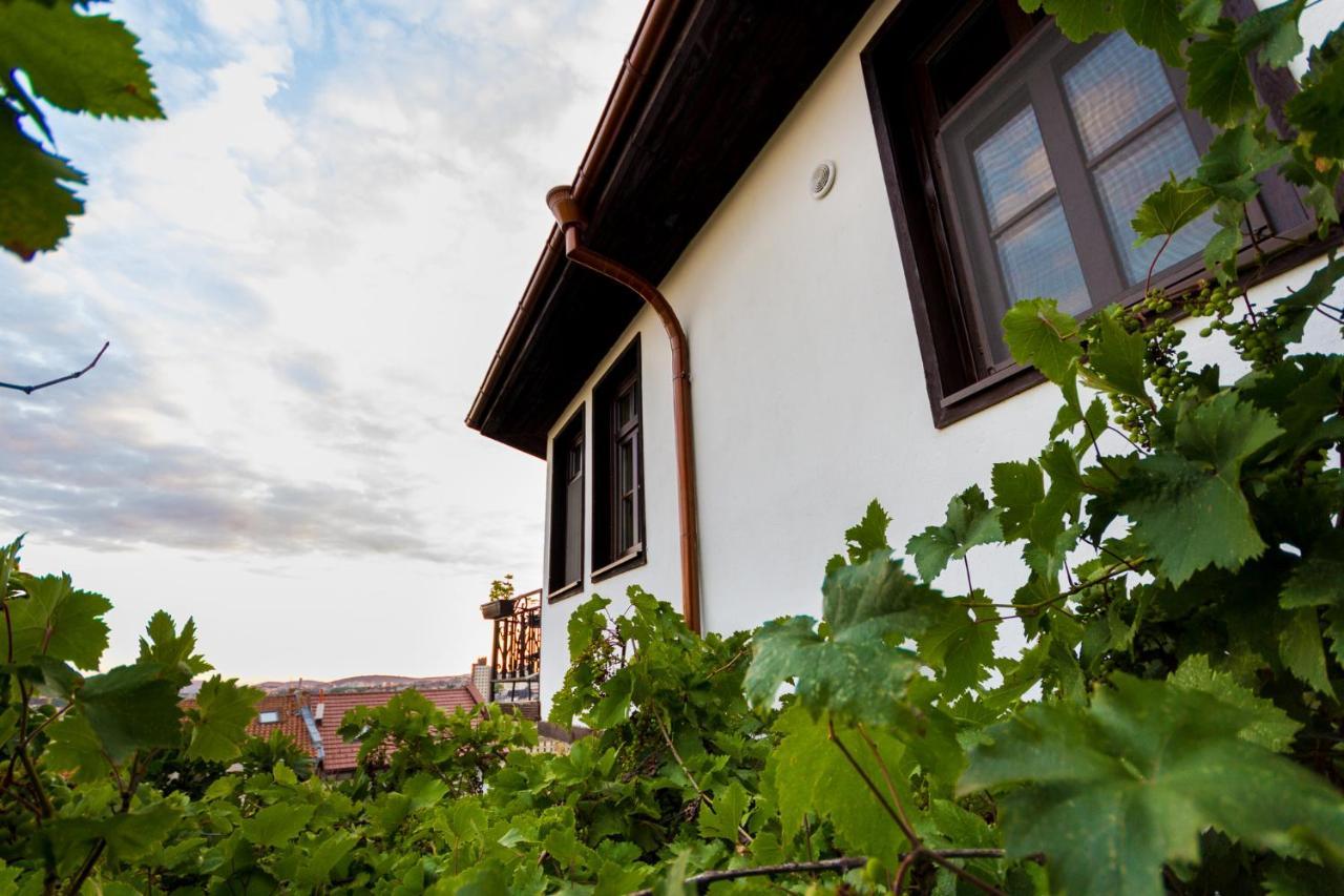 Apartment Zdravets, In The Heart Of The Old City ヴェリコ・タルノヴォ エクステリア 写真